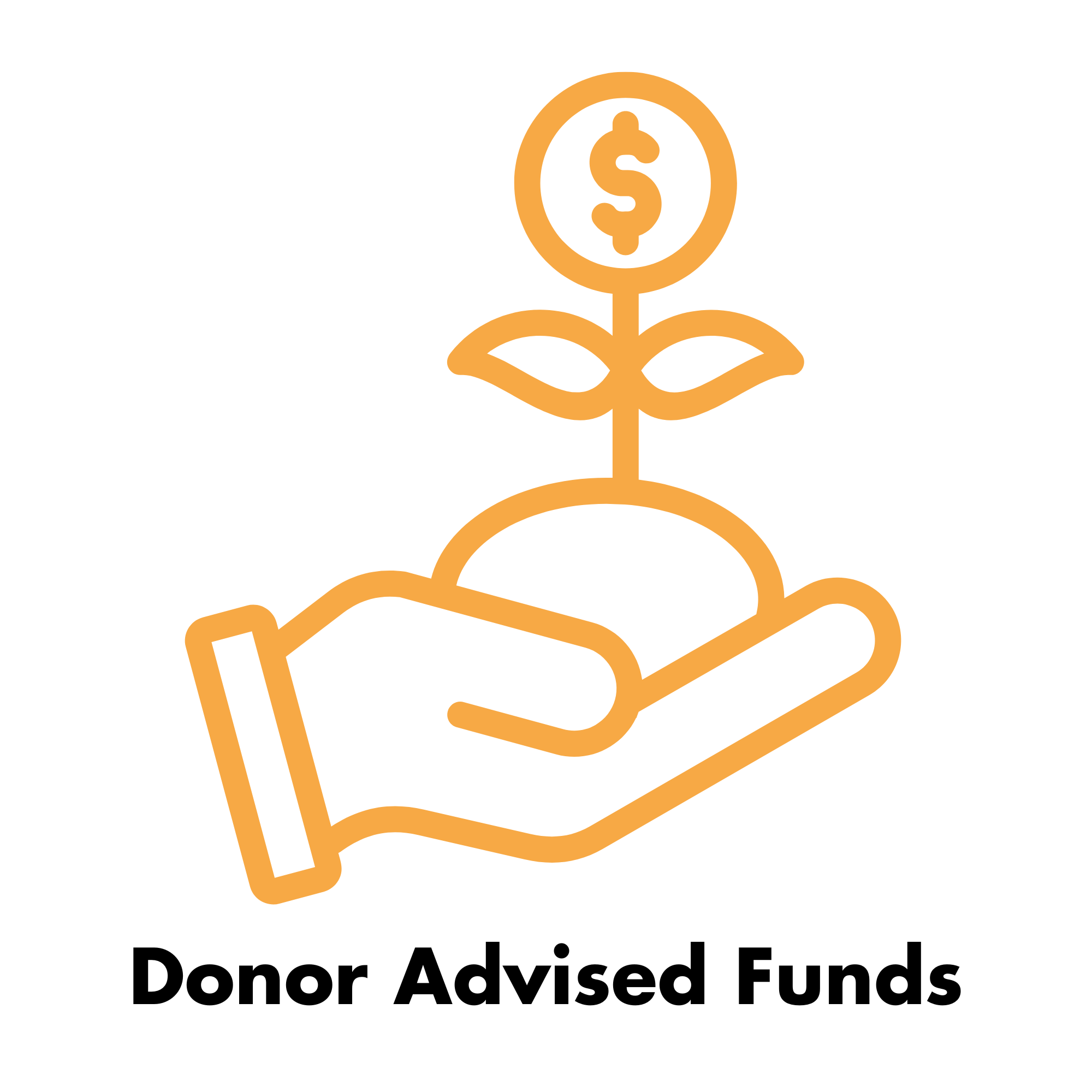 A hand holding a plant