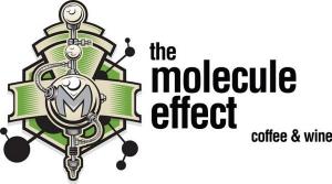 The Molecule Effect logo
