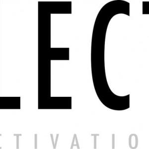 Eclectic Activation logo